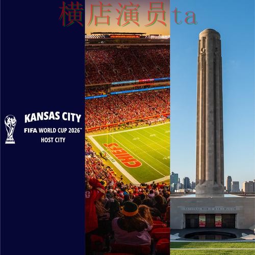 世界杯买球平台哪个好？围绕数据分析做一次全面解析（FIFA World Cup 2026）