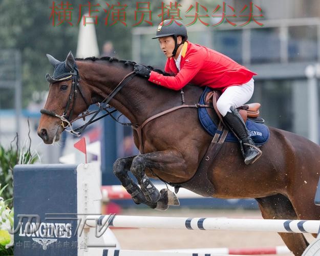 世界杯买球平台解析合集：覆盖真实体验与入口方式 - 世界杯全球总决赛