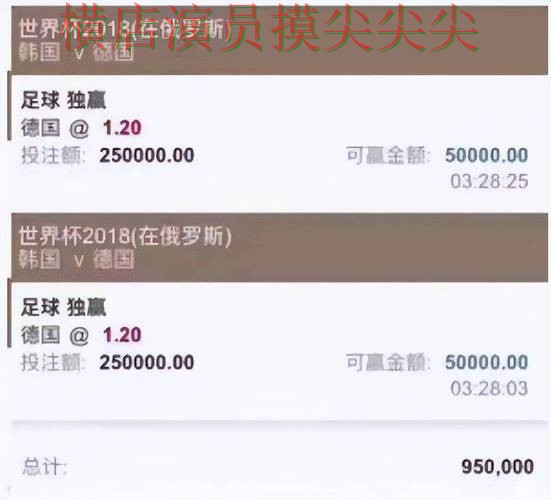 世界杯竞猜网站揭秘合集：覆盖稳定性评测与入口方式 - 2026世界杯